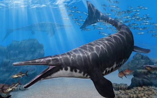 Paleontologists Discover a New Ancient Marine Reptile Species