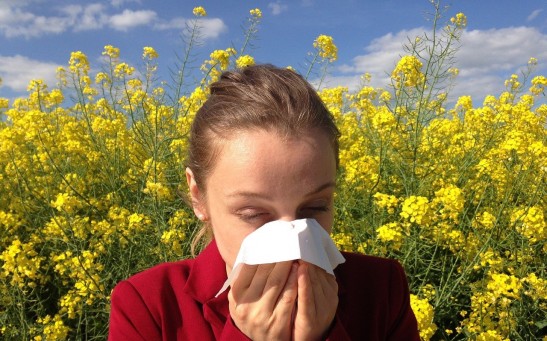 Allergies: Causes, Symptoms and Management