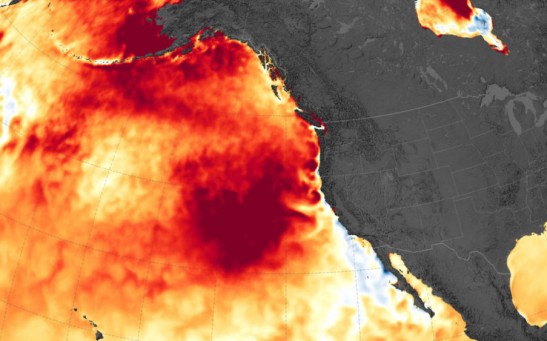 Satellites Detected the Largest, Warmest Marine Heatwave, 