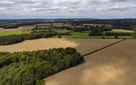 Ecologists and Locals Are Against HS2's Clearing of Ancient Woodlands