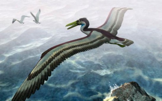 Paleontologists Describe What May be the Largest Bird Species in History