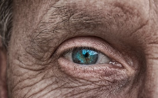 Science Times - Scientists Uncover Approach That Could Reverse Age-Related Vision Loss