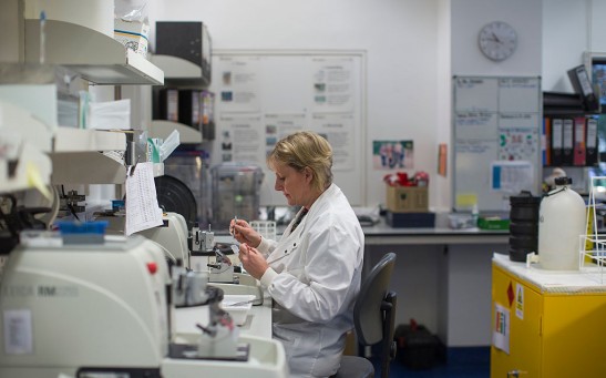 Science Times - Research Into Cancer Conducted At The Cancer Research UK Cambridge Institute
