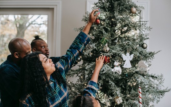 Science Times - 5 Ways to Reduce Your Christmas Tree’s Carbon Footprint