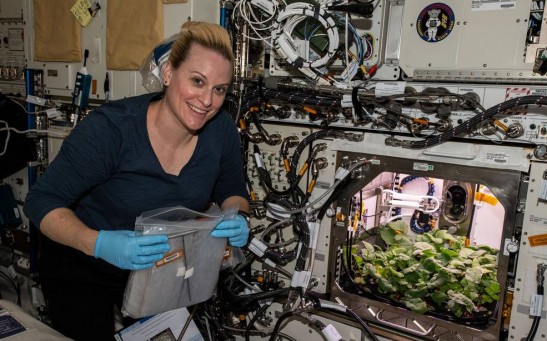  Growing Plants In Space: Astronauts Eats First Radish Grown in Space