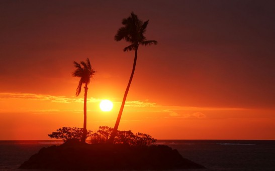 Oahu Sunrise - Sony Open In Hawaii