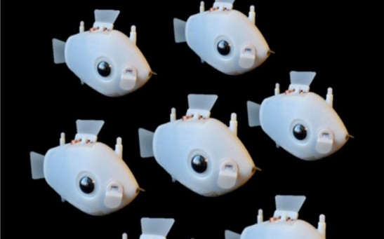 Robo-Fish Can Autonomously Navigate to Form A School of Fish To Perform Tasks Together