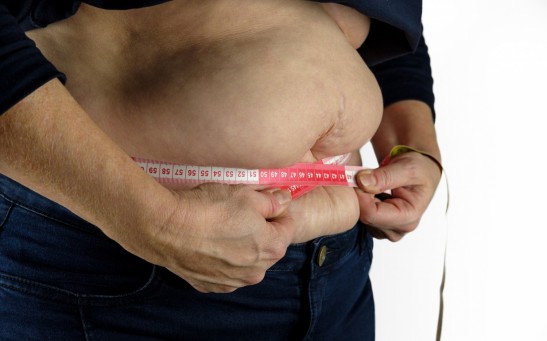 Science Times - Researchers Show How Impulsive Risk-Taking is Associated with Losing Visceral Fat