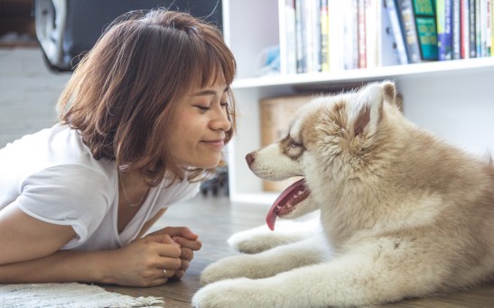 Science Times - Man’s Best Friend No More: Does a Dog Now Belong to a Woman?