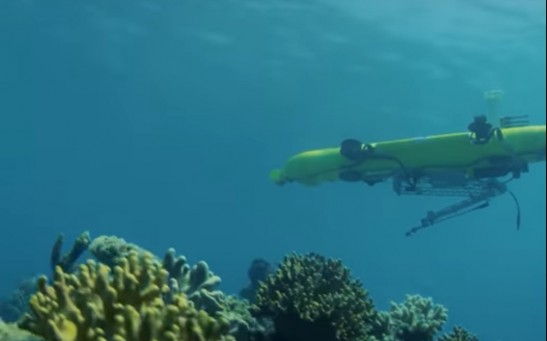 Researchers Use AUVs to Control Crown-of-Thorns Population in the Great Barrier Reef