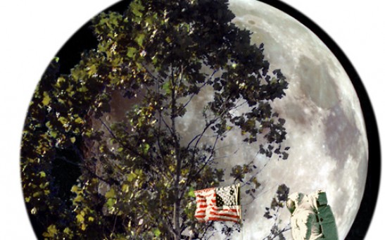 Where On Earth Did NASA Plant The Moon Trees From Apollo 14 Mission?