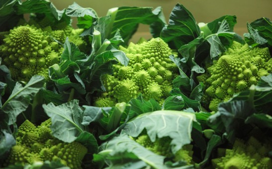 Science Times - Trading At UK's Largest Vegetable Market As Bad Weather Blamed For Shortages