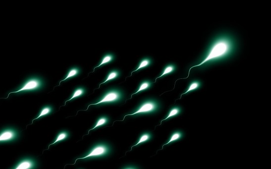  Father's Life Stress Leaves Mark On Sperm, Predisposing Offspring to Poor Mental Health