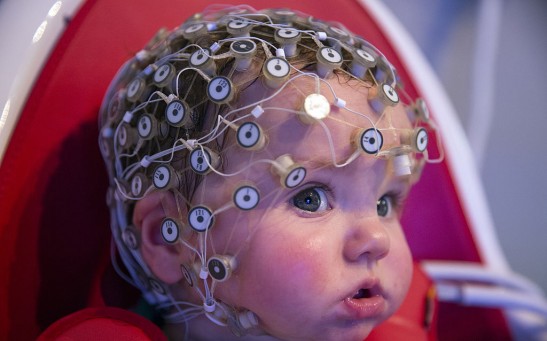Research At The Birkbeck Babylab Into Brain And Cognitive Development