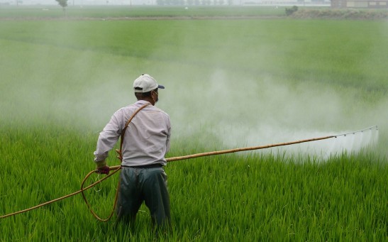  Pesticides Exposure Increases Susceptibility to COVID-19, Study Finds