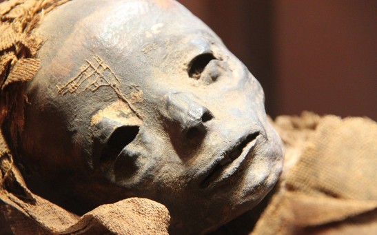  Pregnant Egyptian Mummy Found For the First Time Was Initially Thought To Be A Male Priest