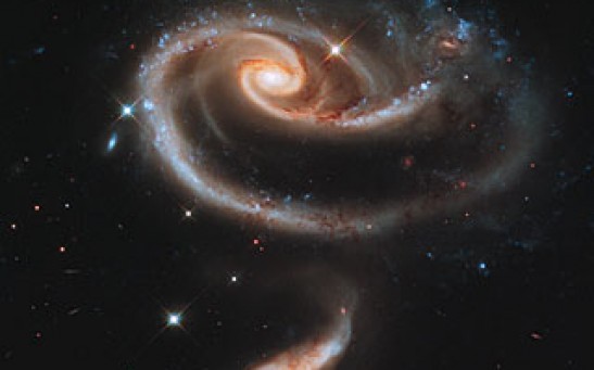 Rose Galaxies