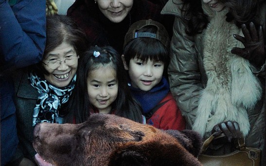 People look at a Hokkaido brown bear in