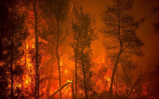 Science Times - Wildfires Continue to Devastate Evia Island Causing Greek Islanders to Flee Their Homes; Here’s How Heatwaves Bring Destruction to Humans, Nature