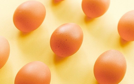 eggs-on-a-yellow-background-4045561
