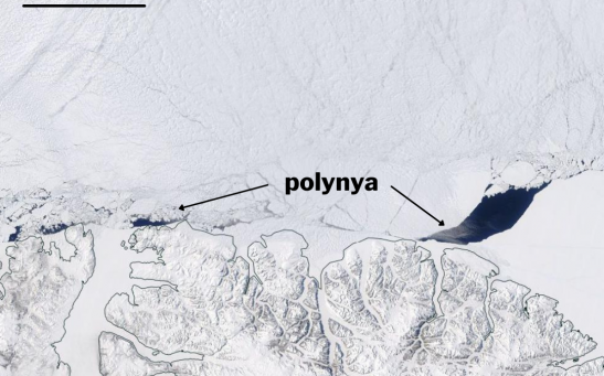 Arctic Polynya