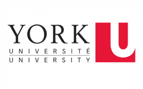York University 