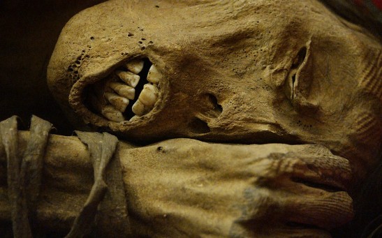 Peruvian mummified male
