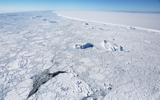 Science Times - Total Darkness, Thriving Ecosystem Beneath Antarctic Ice Shelf Found; New Study Shows They Have Existed for 6,000 Years