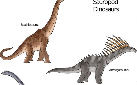 Ancestors of Sauropod Dinosaurs Were Bipedal and Were Likely Quick to Move 205 Million Years Ago