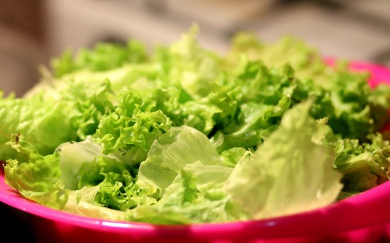  New Quantitative Method Detected More Plastic Particles in Salads Than Previously Thought