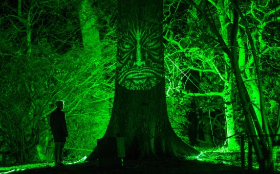 Enchanted Christmas Is Launched At Westonbirt Arboretum