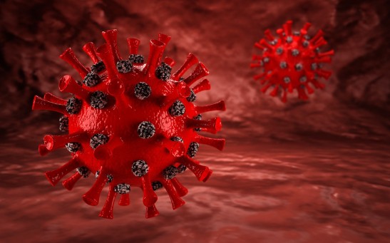  HIV Patient Who Harbored SARS-CoV-2 For Nine Months Developed At Least 21 Mutations of the Virus