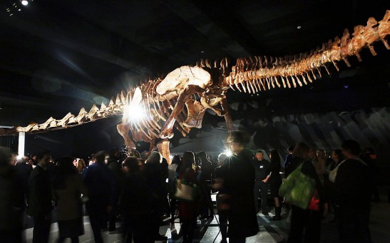 https://www.gettyimages.com/detail/news-photo/replica-of-one-of-the-largest-dinosaurs-ever-discovered-is-news-photo/504972810?adppopup=true