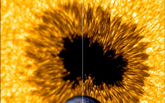 Earth-sized sunspot