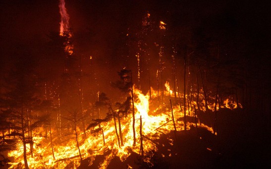 Forest fire spreading in the area of Yan