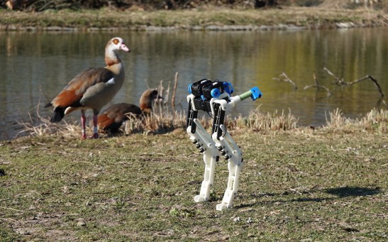 BirdBot: Robotic Legs Inspired by Flightless Avians Can Run with Less Energy
