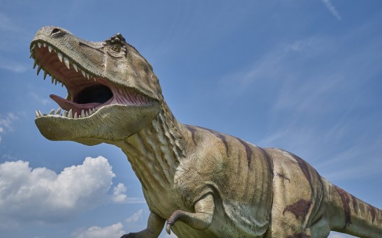  Why Did T. Rex Have Small Arms? Shorter Forelimbs May Have Saved Them During Feeding Frenzies