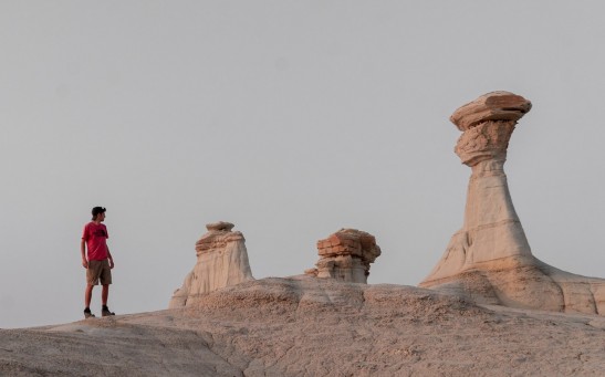 Prehistoric Life in Bisti/De-Na-Zin Wilderness and How it Became Sands and Stones Today