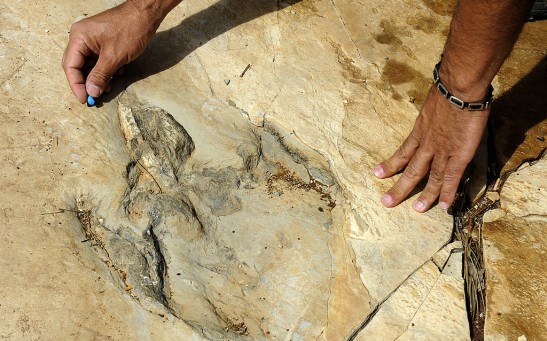New Dinosaur Footprints Unearthed in Spain Revealed Injured Theropod Foot