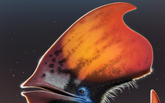 Flying Dinosaur Pterosaurs Confirmed with Feathers, Strands Full of Colors