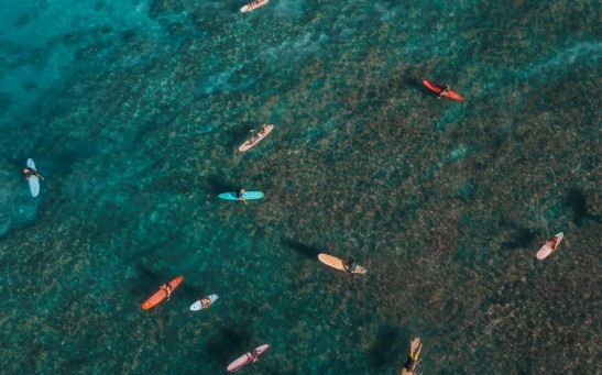 Mapping on Living Corals Identify Heatwave Impact to ‘Winner and Loser’ Reefs