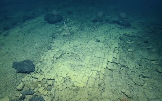 Underwater 'Yellow Brick Road' Discovered on Pacific For the First Time