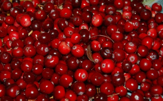  Eating 100g of Cranberries A Day Ward Off Dementia and Improves Cognitive Function, Study Reveals