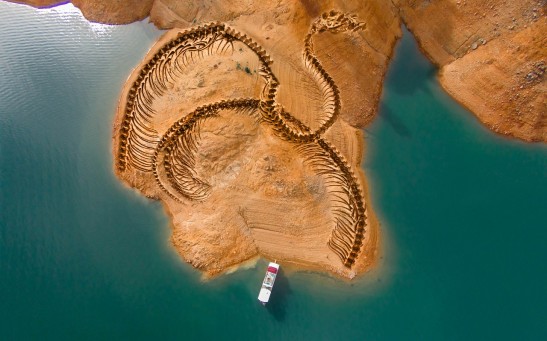  Meet the Hartlepool Dock Monster: Nessie's 10ft Rival From the North East With A Head of A Cobra