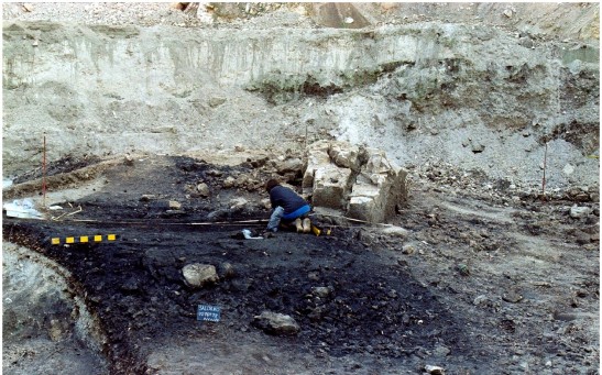 Salorno—Dos de la Forca (Adige Valley, Northern Italy): A unique cremation site of the Late Bronze Age