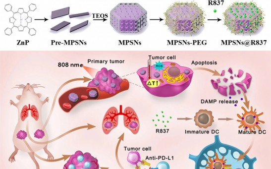 Light-triggered multifunctional nanoplatform for efficient cancer photo-immunotherapy