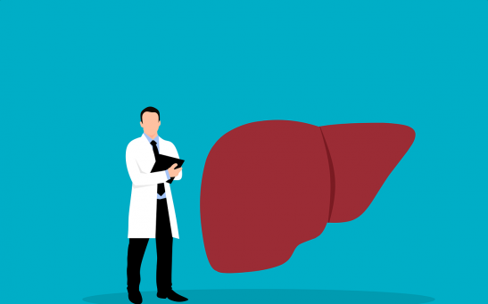  Human Liver Remains Under Three Years Old Regardless of A Person's Age, Study Reveals