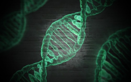  Die-Hard Fans Could Commit Celebrity DNA Theft as 'Genetic Paparazzi' Increases, Experts Warn