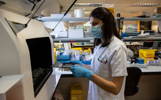 PCR Testing for Monkeypox