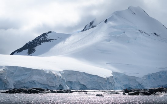  2 penguins having a romantic date in Antarctica